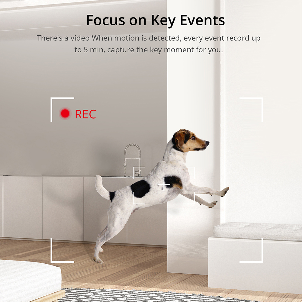 Sonoff-スマートホームセキュリティカメラ,モーション検 - Home Security News のレビューと価格